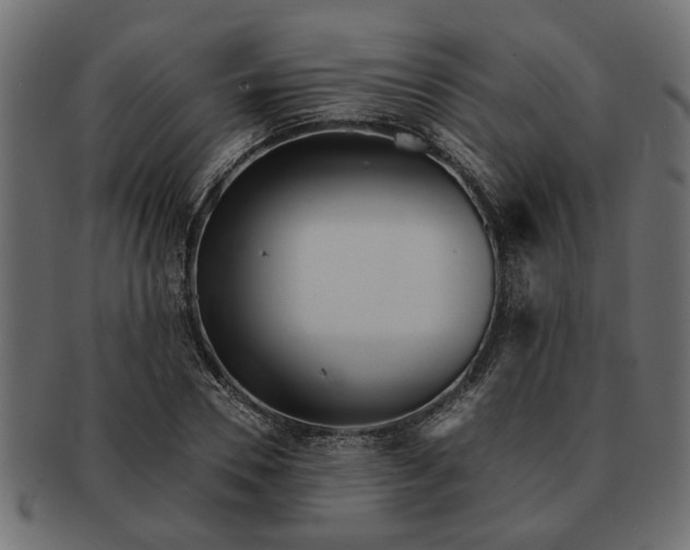 X0000091720930200709071432