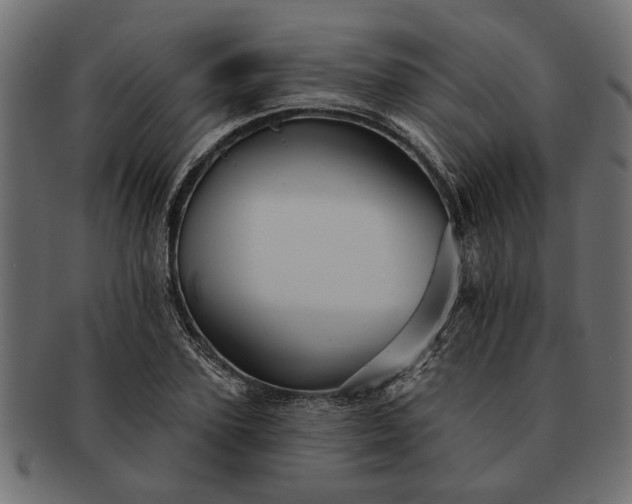 X0000091720931200709071433