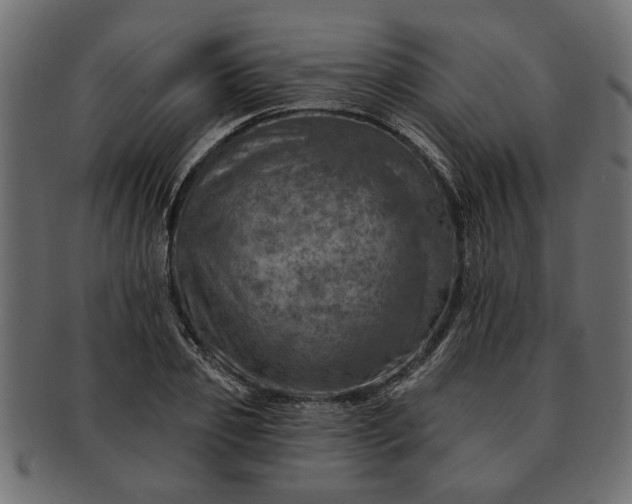 X0000091720933200709071433