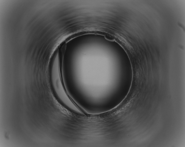 X0000091720934200709071433