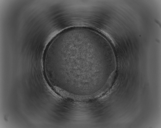 X0000091720935200709071433