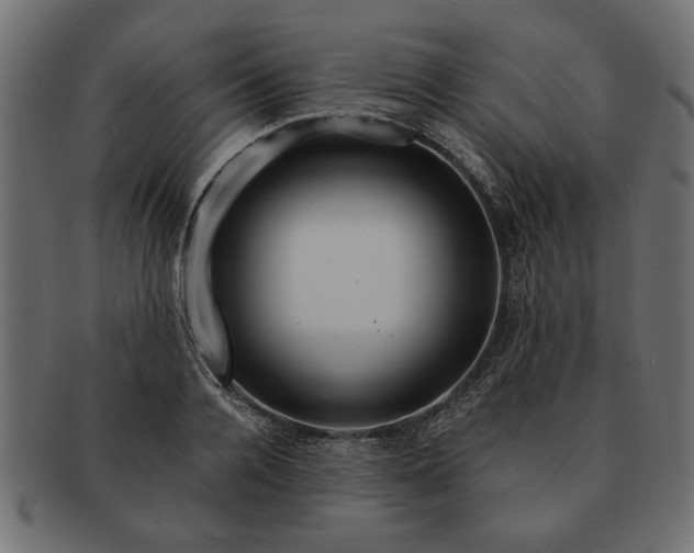 X0000091720936200709071433