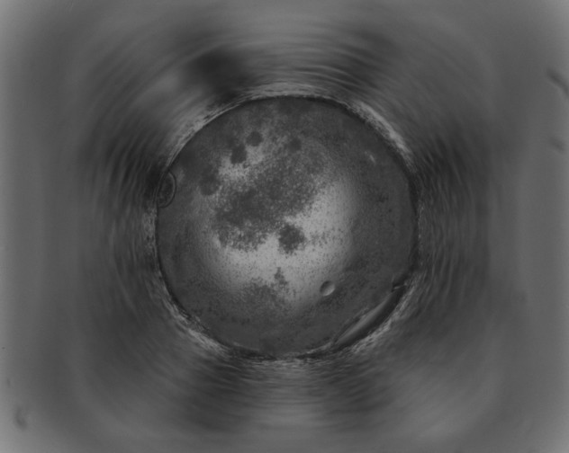 X0000091720937200709071433