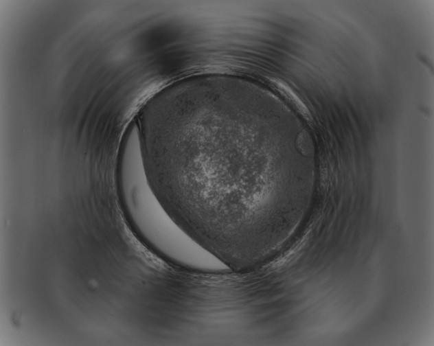 X0000091720938200709071433