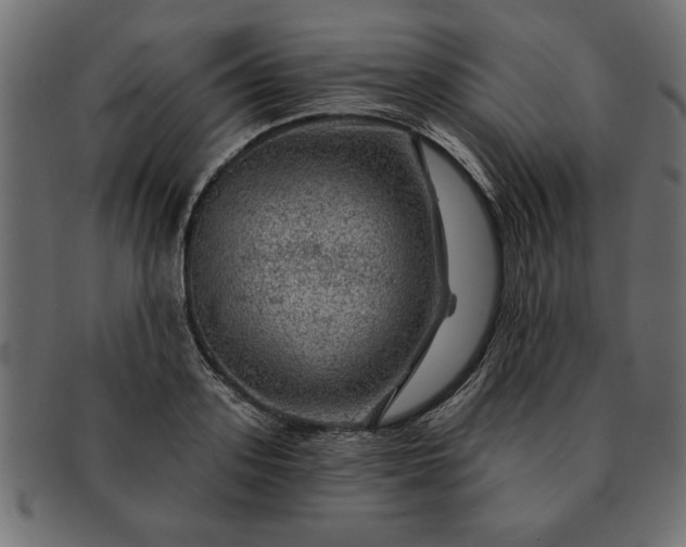 X0000091720939200709071433