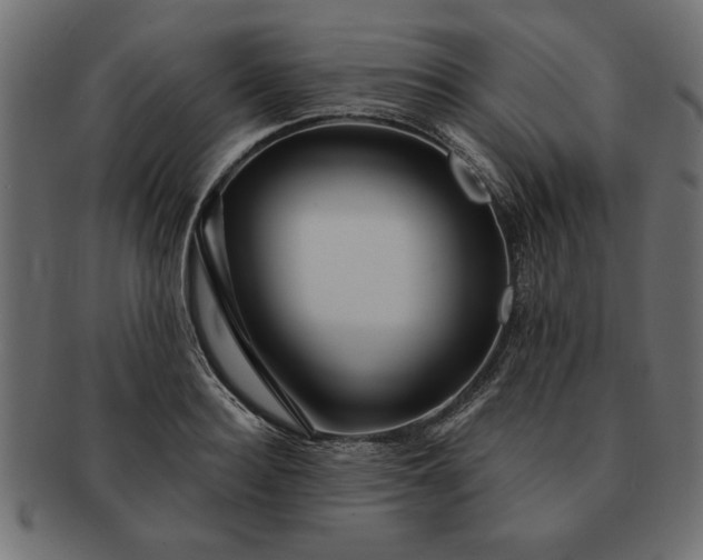 X0000091720940200709071433