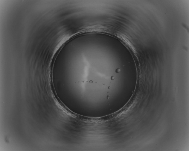 X0000091720941200709071433