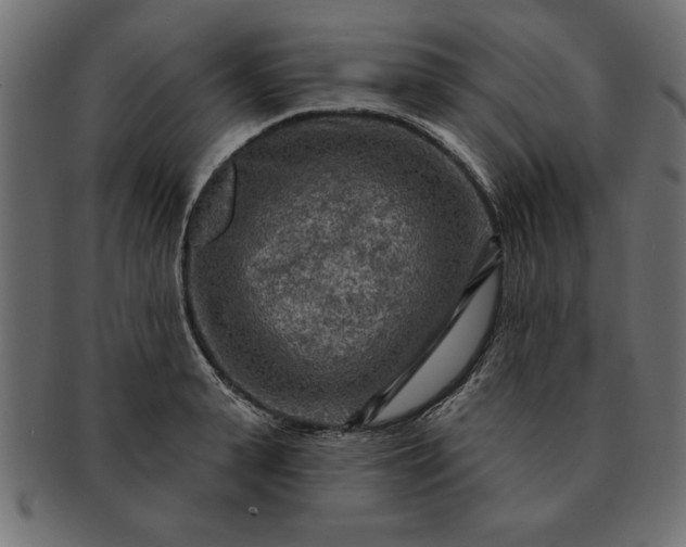 X0000091720943200709071433