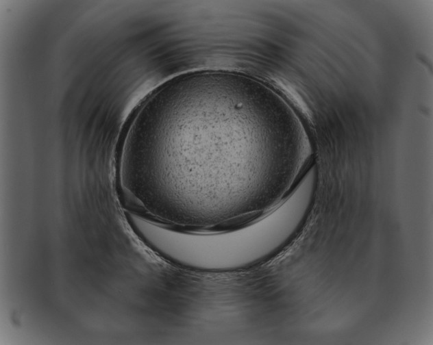 X0000091720944200709071433