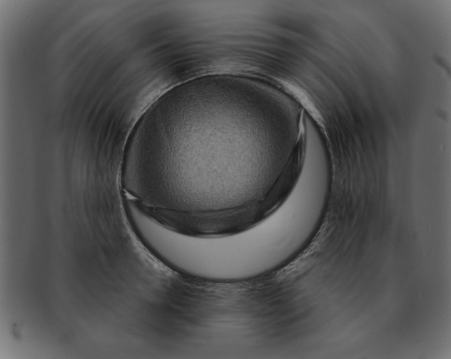 X0000091720946200709071433