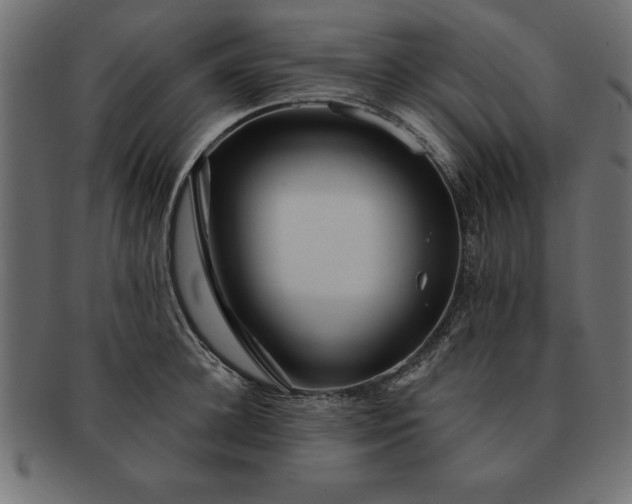 X0000091720948200709071433