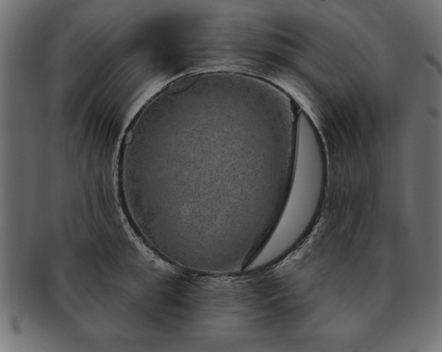 X0000091720949200709071433