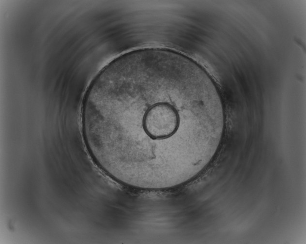 X0000091720950200709071433