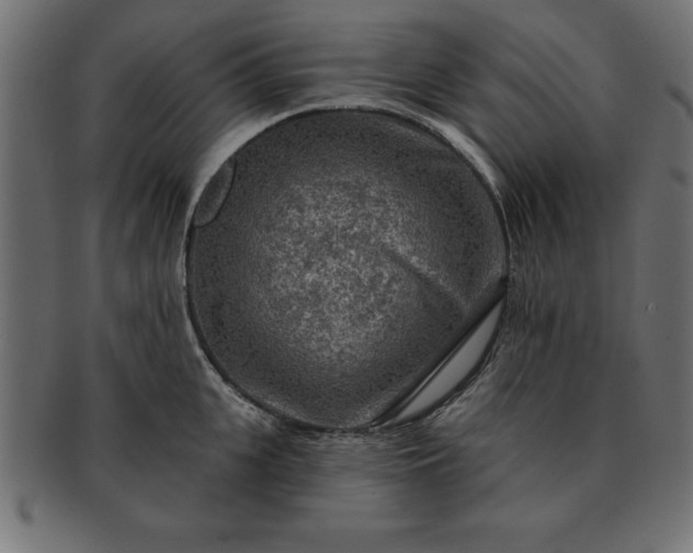 X0000091720951200709071433