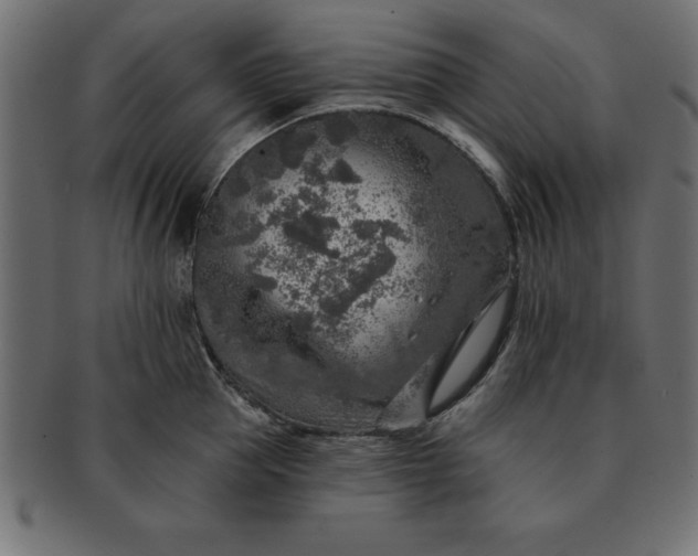 X0000091720953200709071433