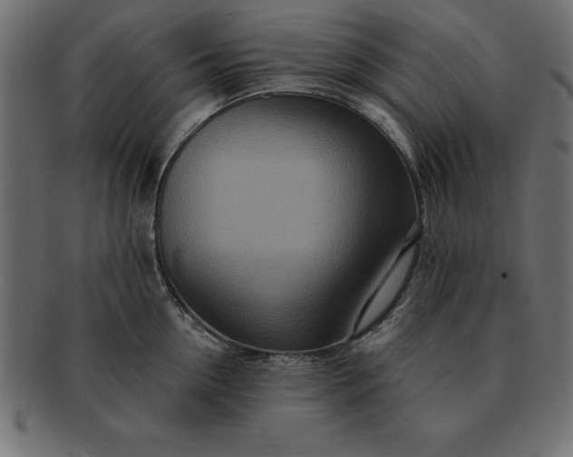 X0000091720954200709071433