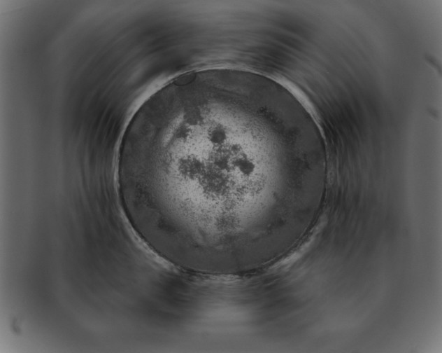 X0000091720957200709071433