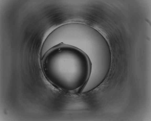 X0000091720960200709071433