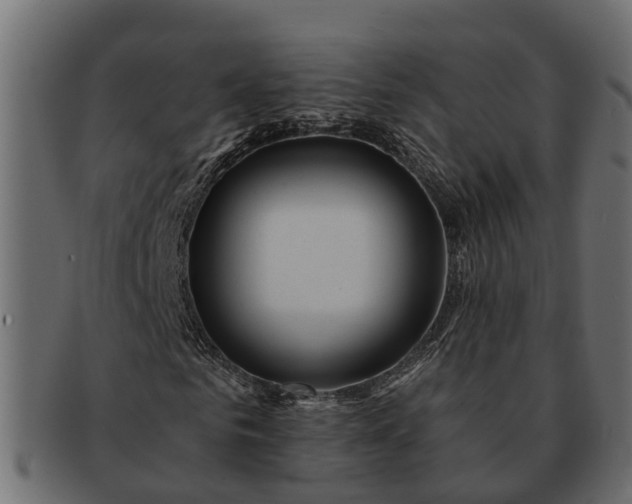 X0000091720961200709071432