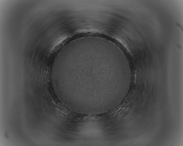 X0000091720967200709071432