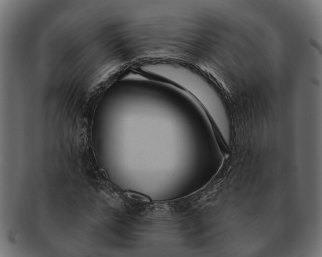 X0000091720968200709071432