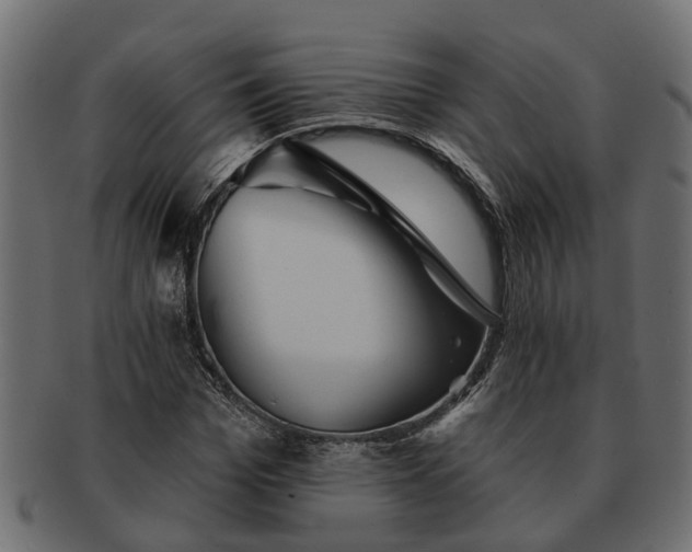 X0000091720969200709071432