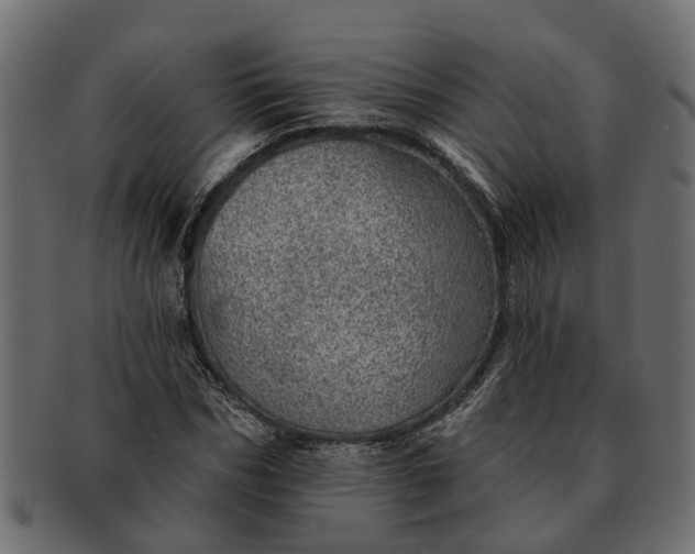 X0000091720970200709071432