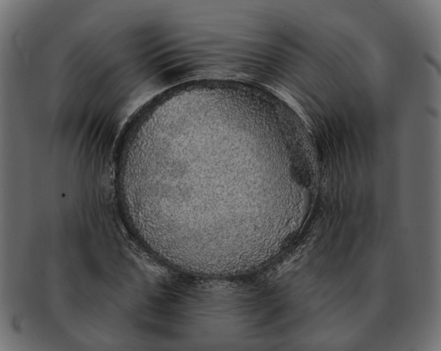 X0000091720971200709071432