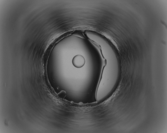 X0000091720973200709071432