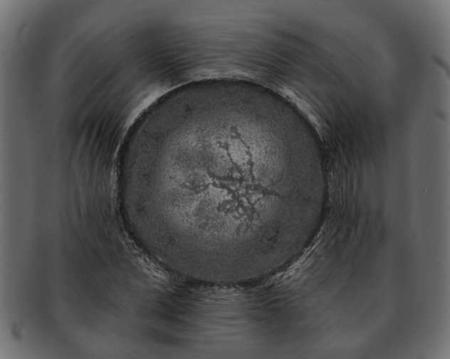 X0000091720975200709071432