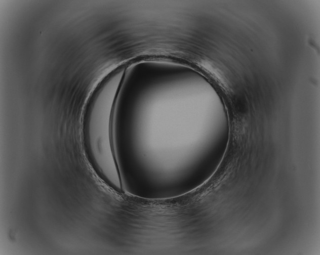 X0000091720976200709071432