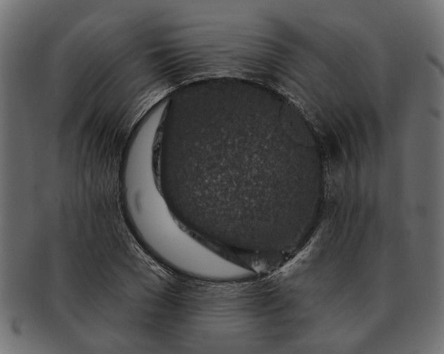 X0000091720977200709071432