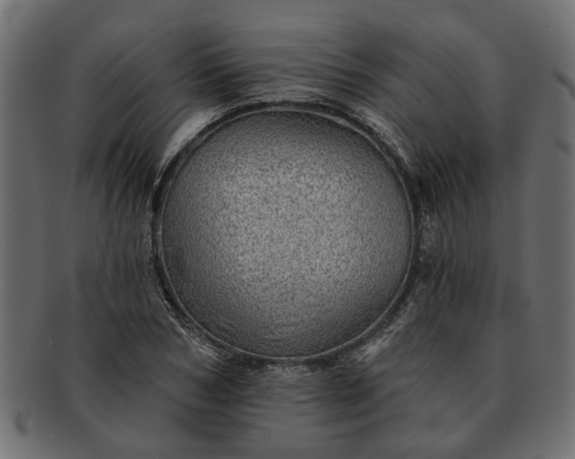 X0000091720978200709071432