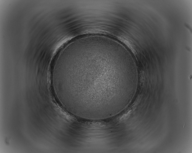 X0000091720979200709071432