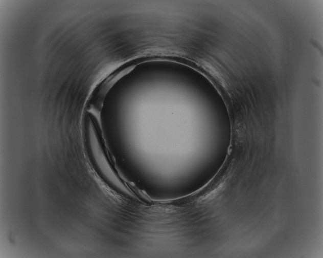 X0000091720981200709071432