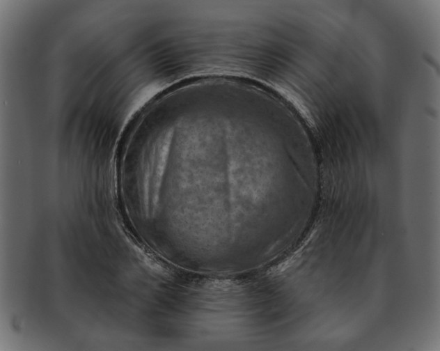 X0000091720982200709071432