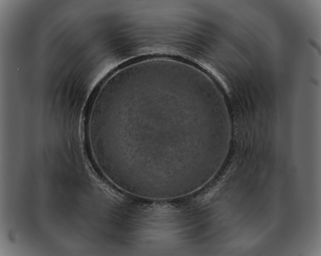 X0000091720983200709071432