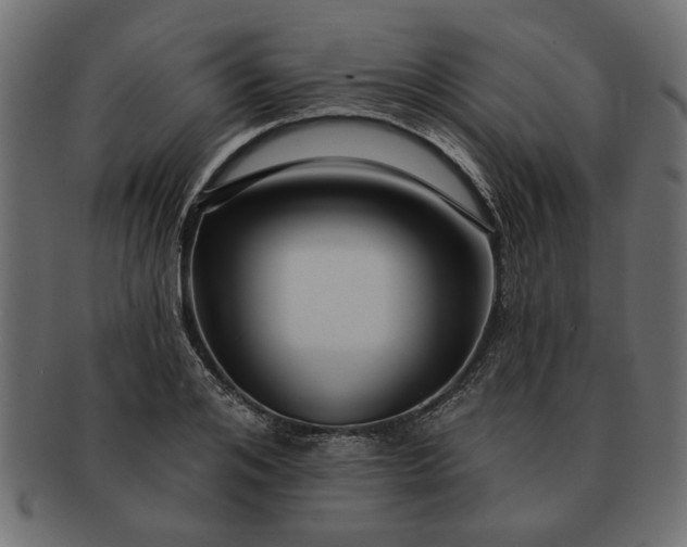 X0000091720984200709071432