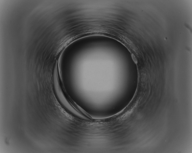 X0000091720985200709071432