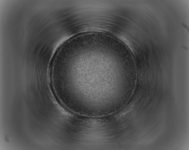 X0000091720987200709071432