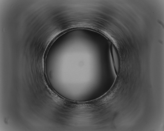 X0000091720988200709071432