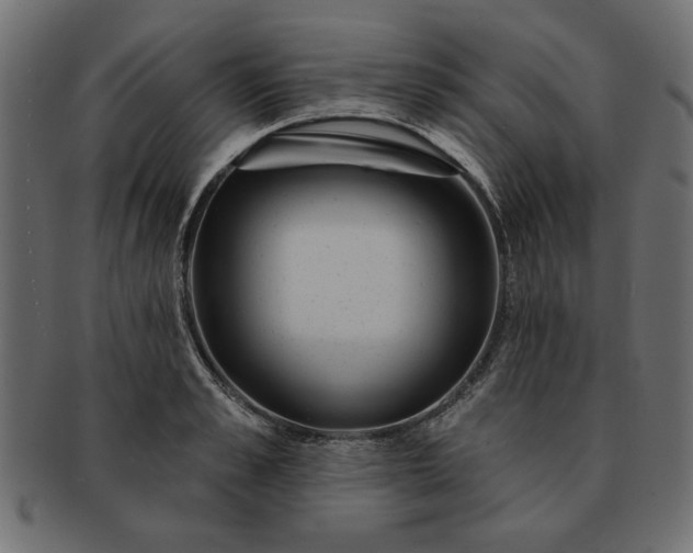 X0000091720989200709071432