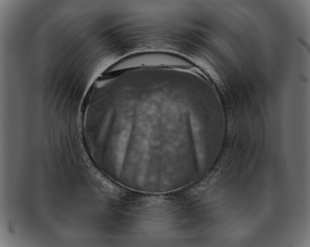 X0000091720990200709071432