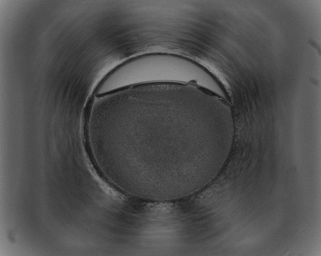 X0000091720991200709071432