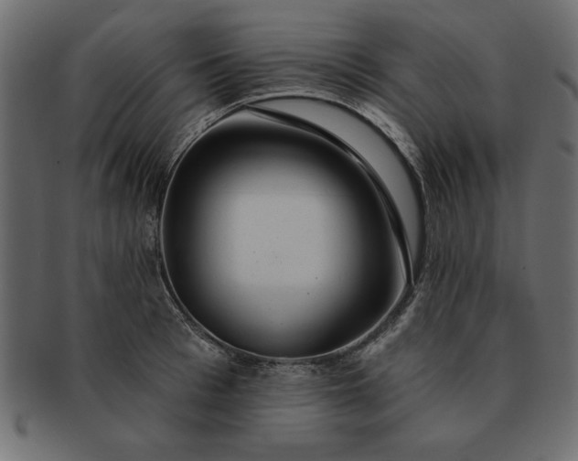 X0000091720993200709071432