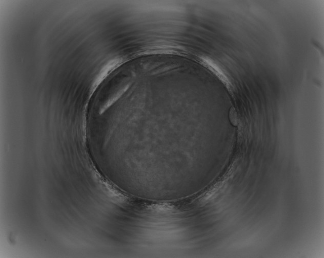 X0000091720994200709071432