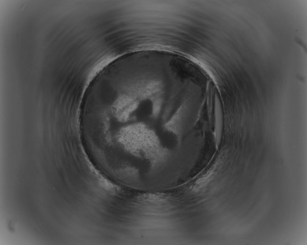 X0000091720995200709071432