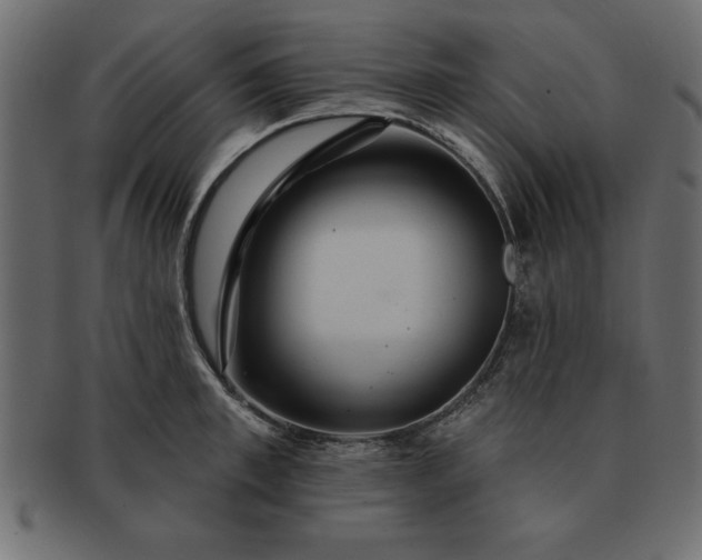 X0000091720997200709071432