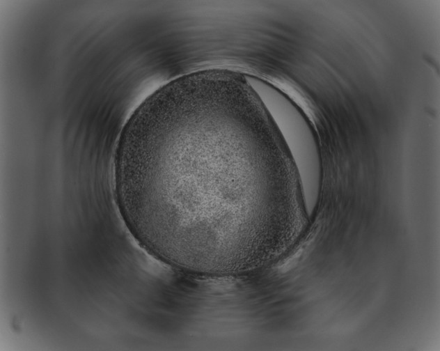 X0000091720999200709071432