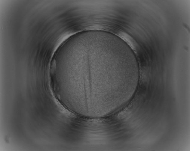 X0000091721000200709071432